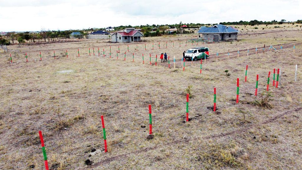 denver oak plots in malaa