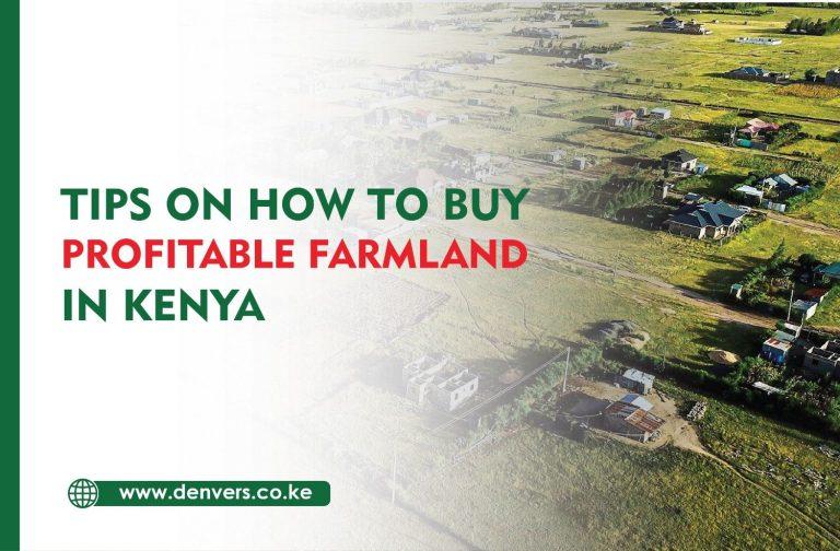 tips on how to buy profitable farmland in kenya